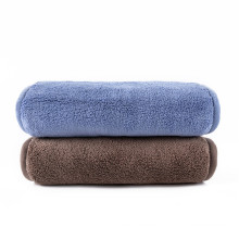 Comfortable Pet Towel Drying for Dogs and Cats